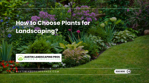 yard with variety of plants