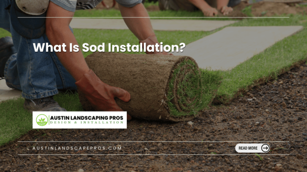 sod installation