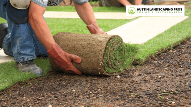 landscaper installing sod